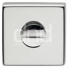 785869516-irbis-650x650