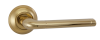 503-08 DGP