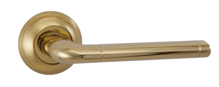 503-08 DGP