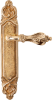 5503fedea4fb2d7ecbc8a5e4b659e07a