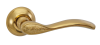 516-08 DGP