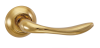 504-08 DGP